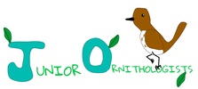 Junior Ornithologists